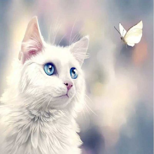 white-cat-diamont art
