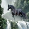 diamont-art-Μαύρο Άλογο