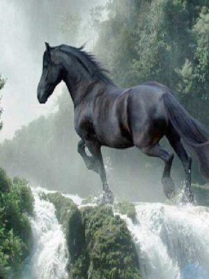 diamont-art-Μαύρο Άλογο