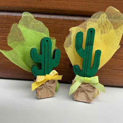 Μπομπονιέρα κακτάκι