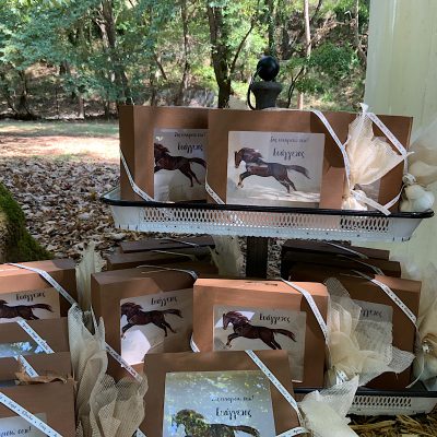 Μπομπονιέρα κουμπαράς με θέμα το αλογο